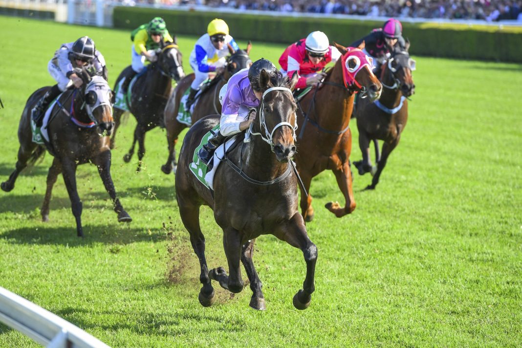 horse racing odds Singapore