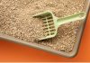 How to Choose the Best Natural Cat Litter for Your Cat’s Needs