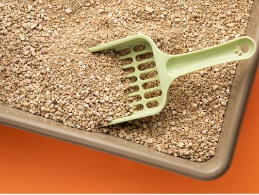 How to Choose the Best Natural Cat Litter for Your Cat’s Needs